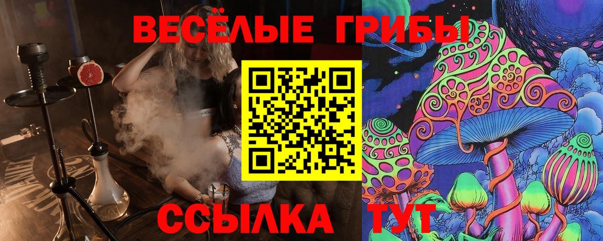 Псилоцибиновые грибы ЛСД  Вход с VPN  Янаул  купить наркотик  Галлюциногенные грибы Magic Shrooms 